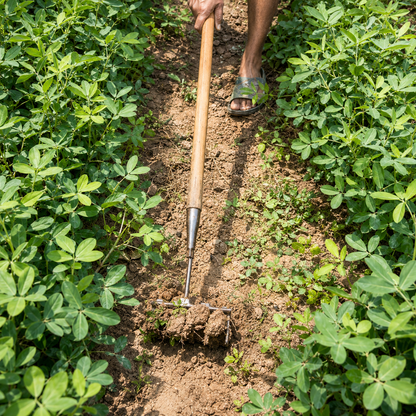 Reeso™ Iron Garden Rake – Heavy-Duty Gardening Weeding Tool