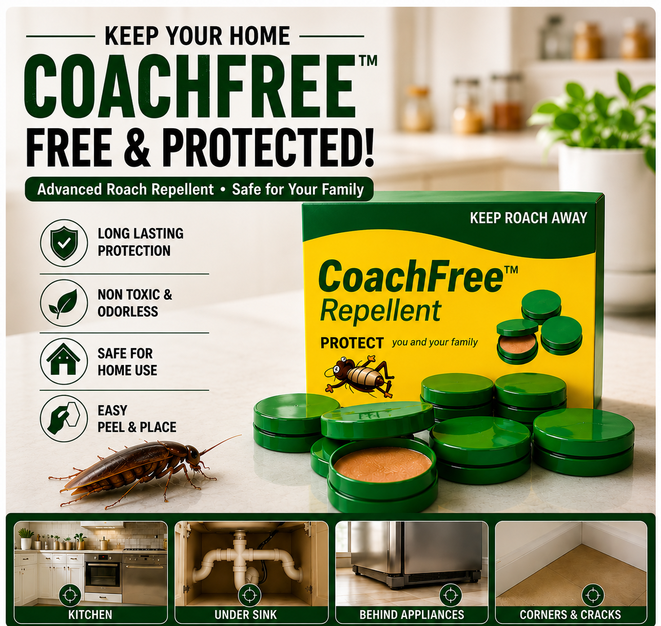 CoachFree™ (Buy 1 get 1 free) – Powerful Cockroach Killer Gel